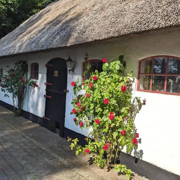 Gemütliches Reetdachhaus mit Kaminofen, хотел в Рибе