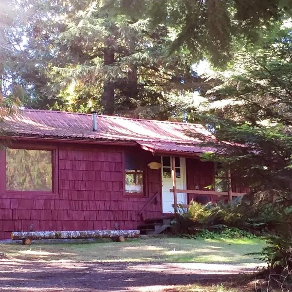 Family Cabin at Rainier Lodge -0.4 m from entrance, hotel di Ashford