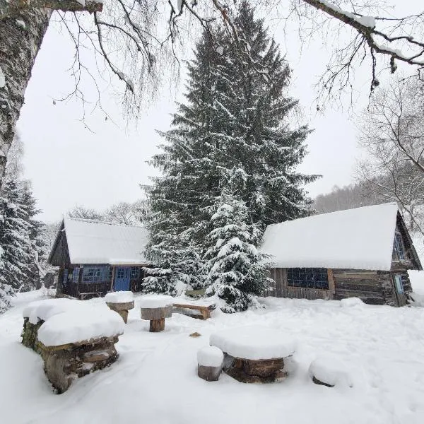 Casuta dintre brazi, hotel din Râșca