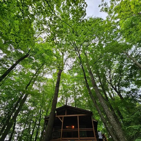 Romantic Summer Couples Escape, Private Hot Tub, EV Station, Fast 600 Mbps WiFi, hotel in Mars Hill