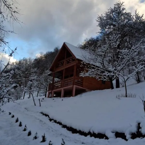 Cabana Ulmului, hotel in Vişeu de Sus