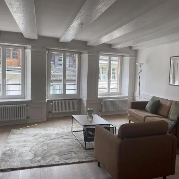 The R Apartment Bodensee - Old Town, hotel din Schaffhausen