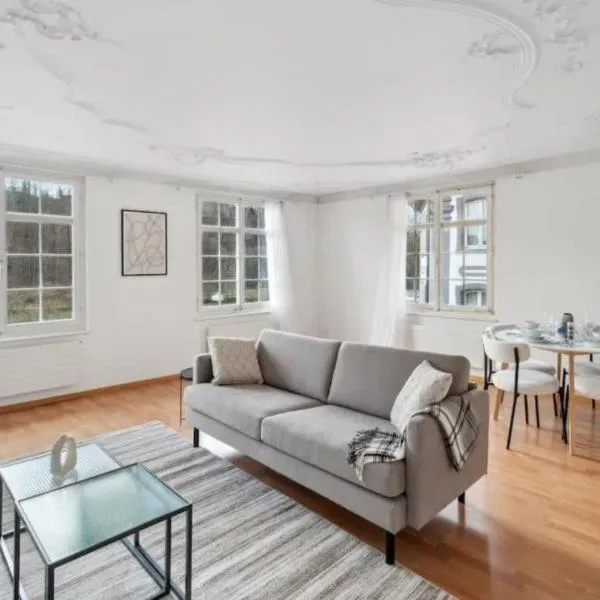 The R Apartment Hemmental, hotel a Schaffhausen