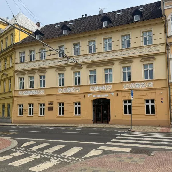 Hotel PAYER, hotel in Teplice