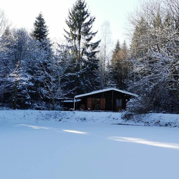 Chalet - gîte avec étang, hotel in Deneuvre