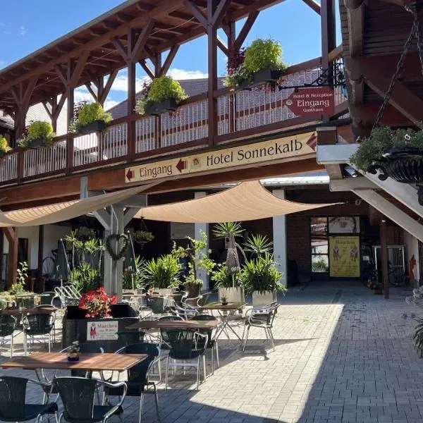 Hotel Sonnekalb, hotel i Naumburg