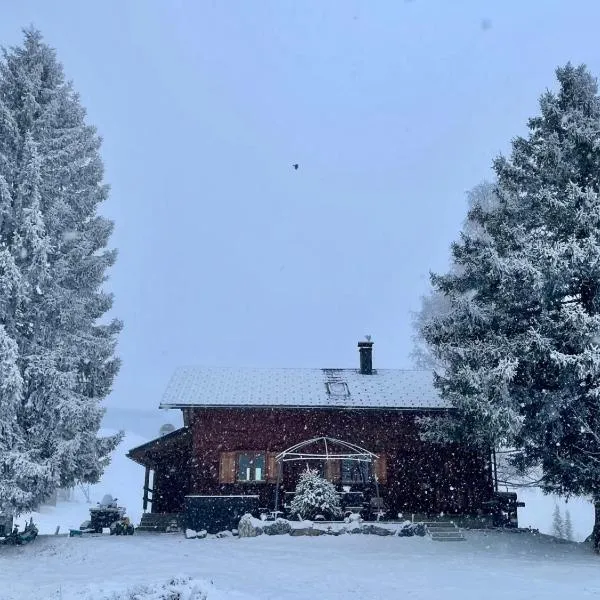 Burtscha Lodge, hotel in Bürserberg