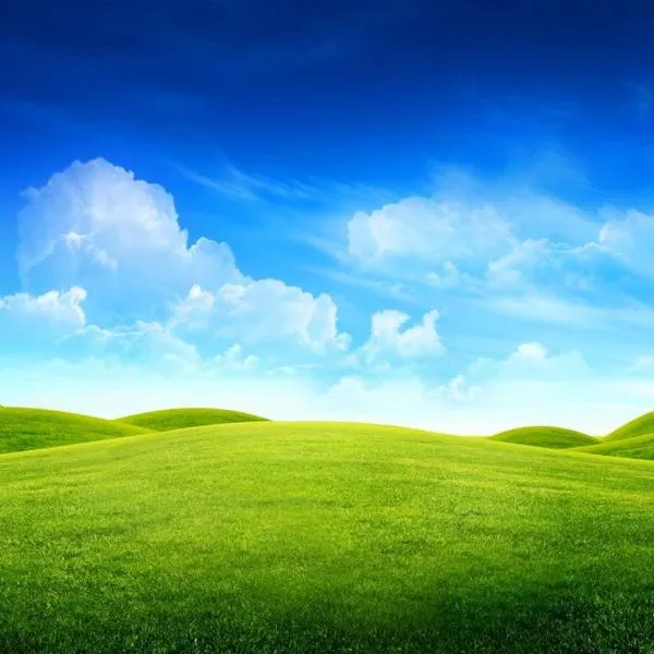 Casa, hotel en Sîntioana