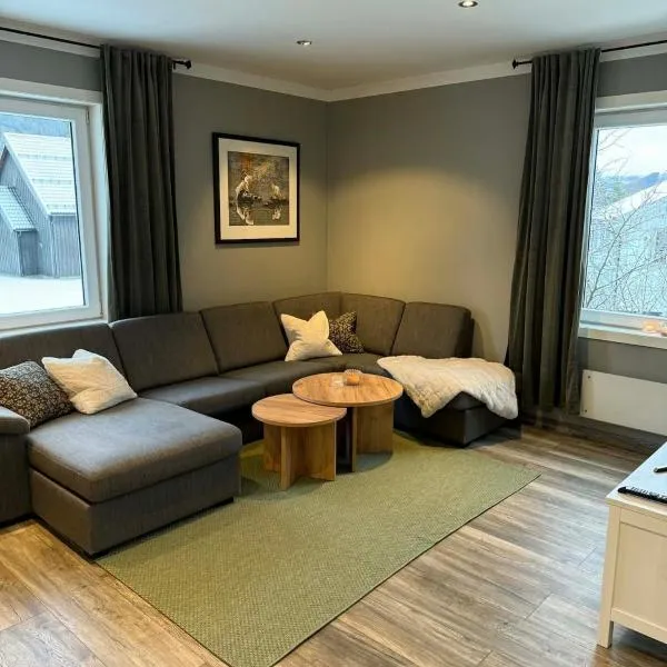 Large apartment, in the middle of Gol city center!, ξενοδοχείο σε Gol