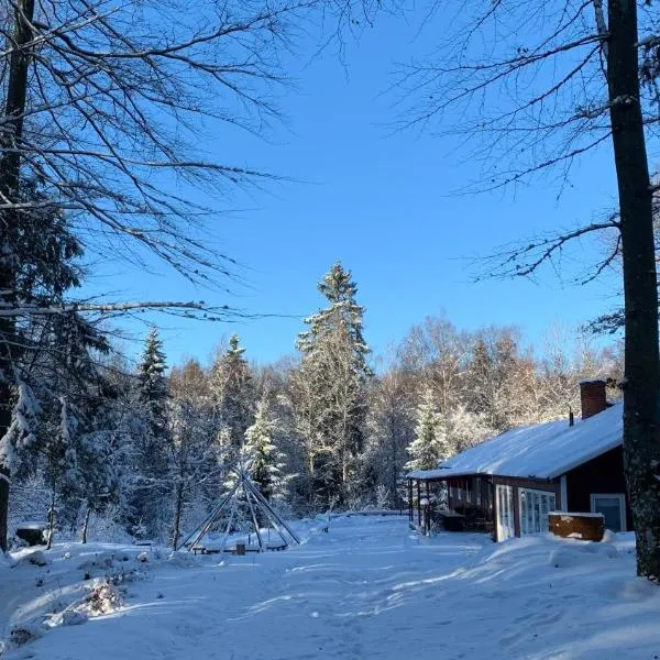 Boafall Lodge, hotel in Jämshög