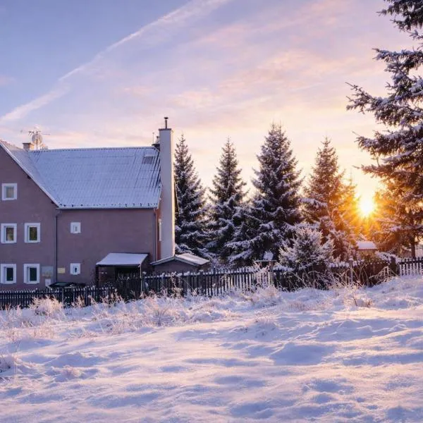 Forest House near Klínovec with 5 Independent Apartments: Kovářská şehrinde bir otel