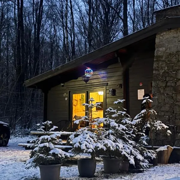 Forest Lodge, hotel v destinaci Petit Mesnil