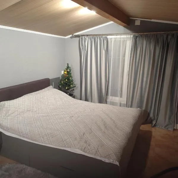 Садиба FAM-KIVI, hotell i Kamjanets-Podilskyj