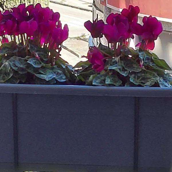 La Terrazza Apartment, hotel v destinaci Cosenza