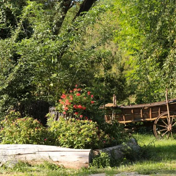 Fonfa Liget, hotel in Felsőhegy