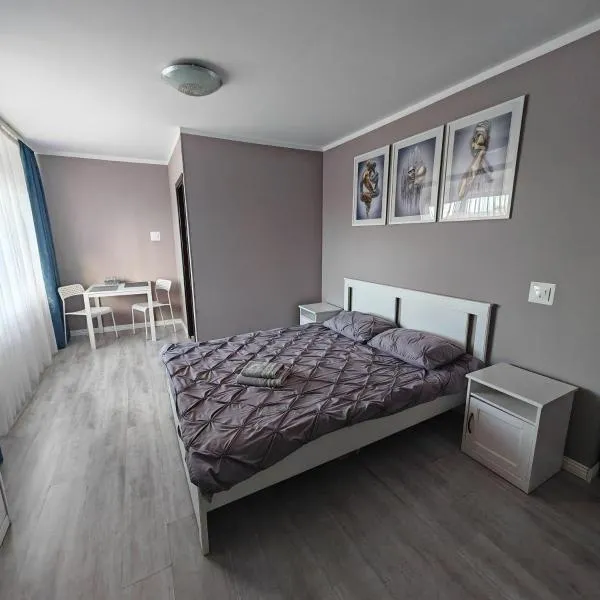 EVA's Rooms, hotel in Târgu-Mureş