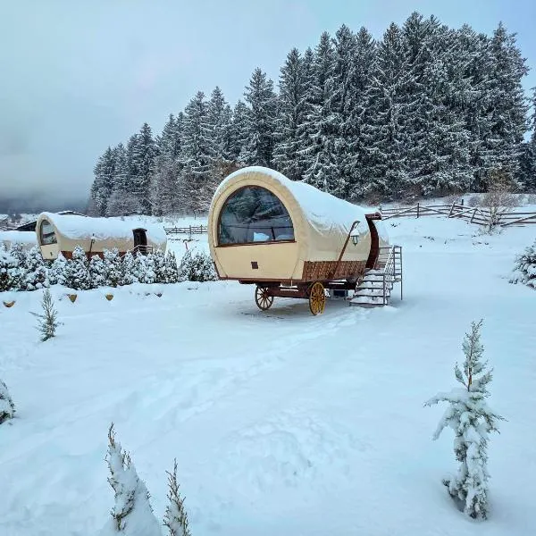 Nomad by Hora cu Brazi, hotel en Zărneşti
