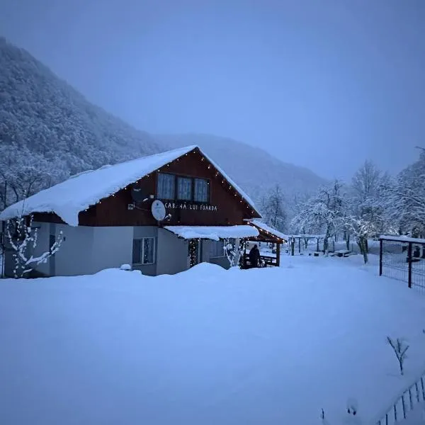 Cabana lui Foardă，位于Motru Sec的酒店