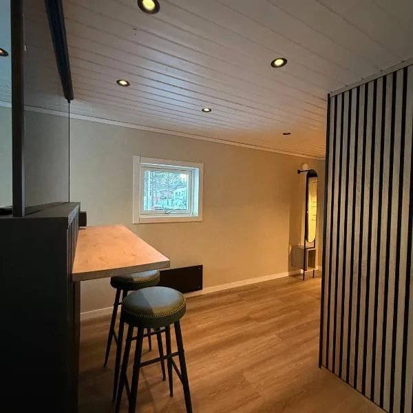 Sarva Hotel: Kiruna şehrinde bir otel