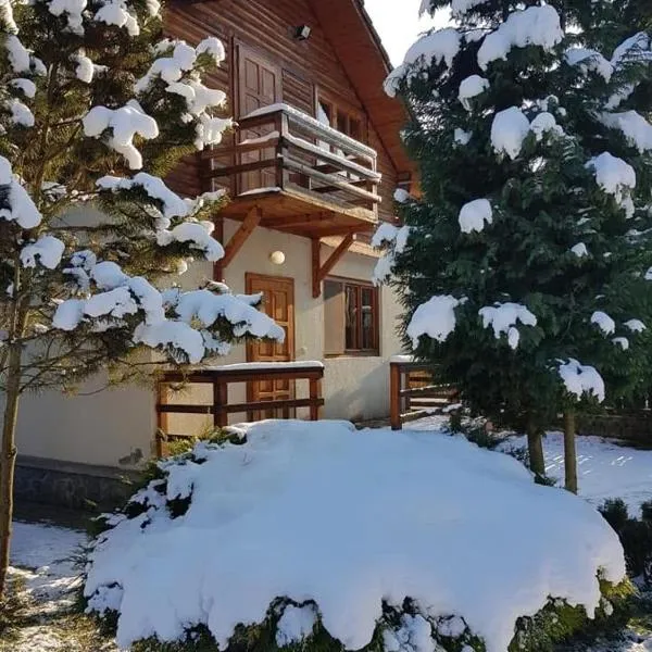 Cabana dintre Brazi, hotel a Mintia