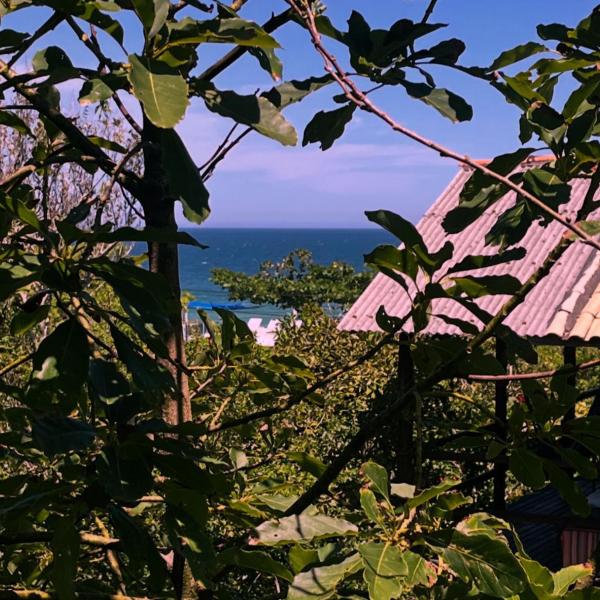 casa na praia do campeche