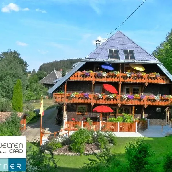 Ferienwohnungen Panoramablick - NEU incl 3-WeltenCard mit 140 kostenlosen Attraktionen, hotel a Bernau im Schwarzwald