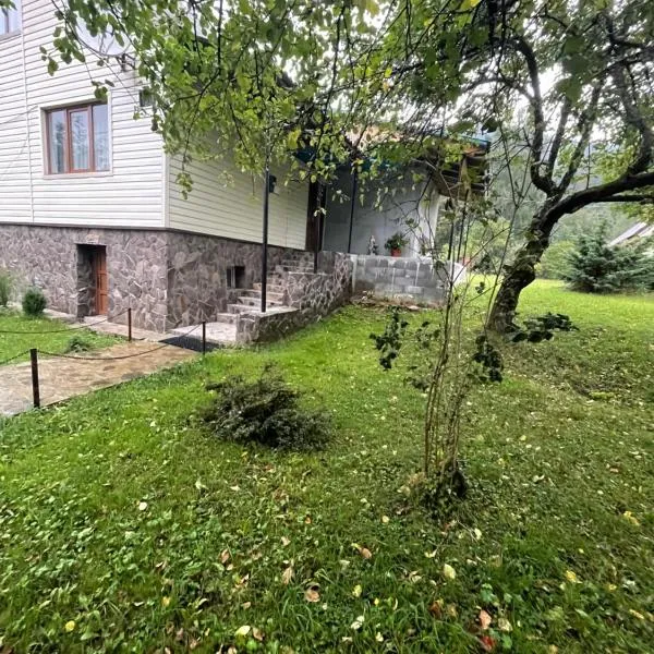 Затишний дім, hotel in Synevyr