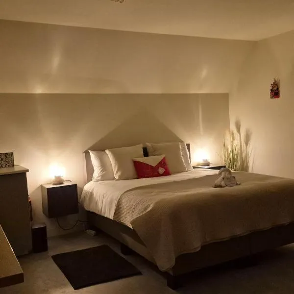 Dalerheugte Drenthe B&B Comfort met eigen badkamer en ontbijt à la carte op de kamer, hotel em Dalerveen