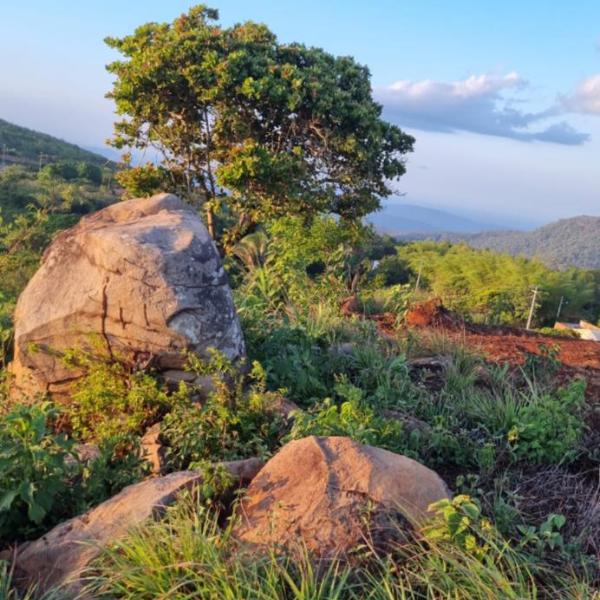 Sítio monte alegre - Foto 5