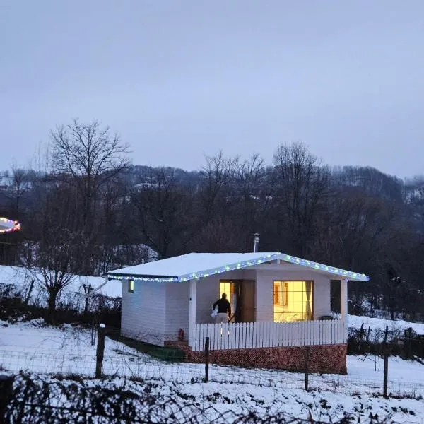 Căsuțele bucuriei, hotel en Pucioasa