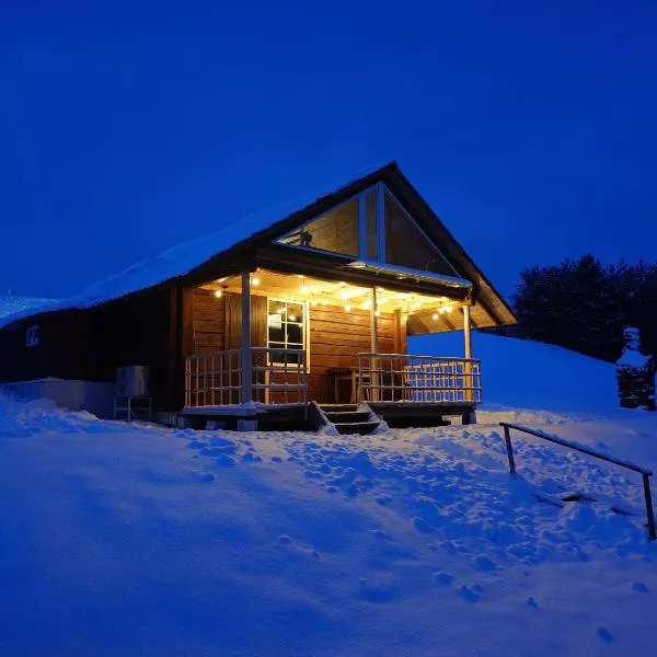 Namelis prie ežero – hotel w mieście Miežoniai