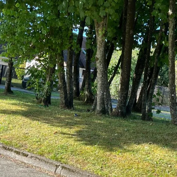 Cabaña barrio residencial, hotel din Valdivia