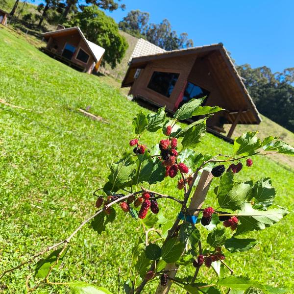 Pousada das Castanheiras - Foto 2