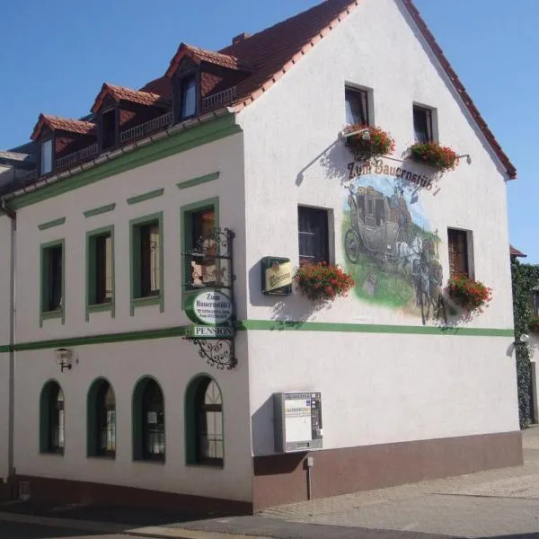 Pension Zum Bauernstübl, hótel í Meerane