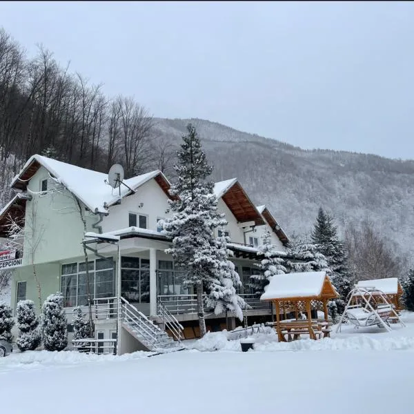 Hotel Gryka, hotell i Peja
