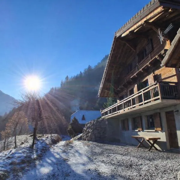 Chalet des Alpes, hotel a Vacheresse