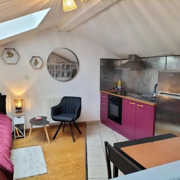 Studio Nancy Centre, ξενοδοχείο στη Νανσύ