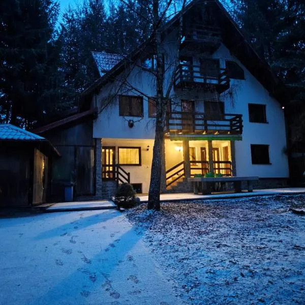 Casa Mario, Hotel in Dragoslavele