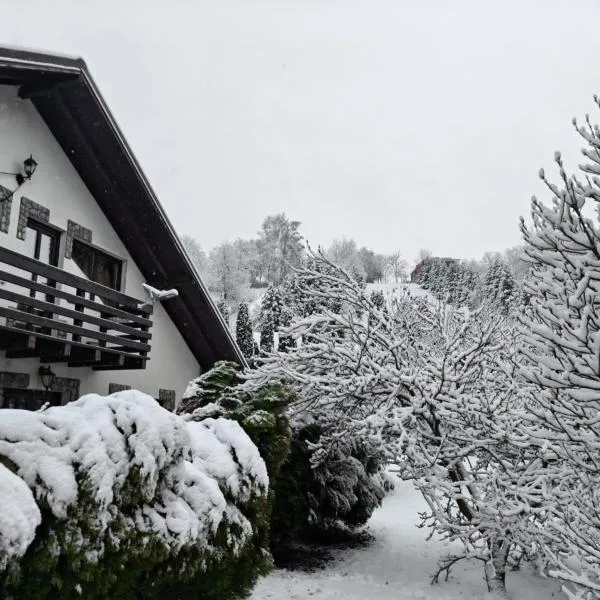 Casa Ana, Hotel in Dragoslavele