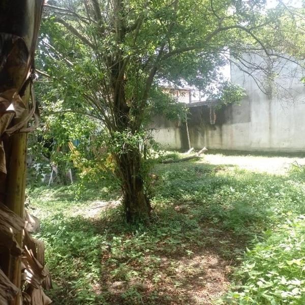 Camping Rio Vermelho