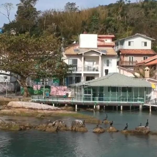 Paraiso Perfeito - Foto 5