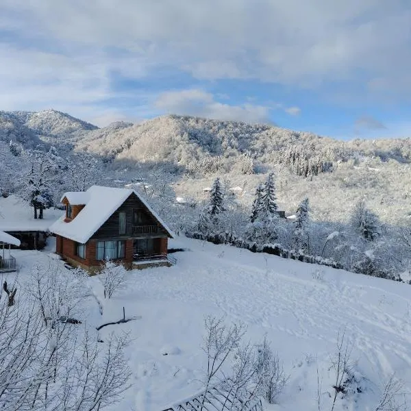 Shemoqmedi chalet, hotel em Zemo Makvanetʼi