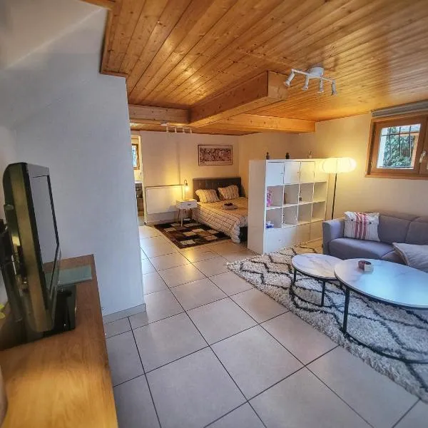 Studio Cosy au Cœur des Alpes، فندق في Arenthon