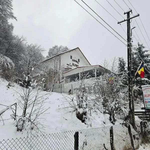 Pensiunea Alpina: Malaia şehrinde bir otel