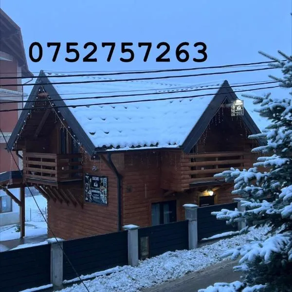 Cabana Lavinia Daniel, hotel en Statiunea Borsa