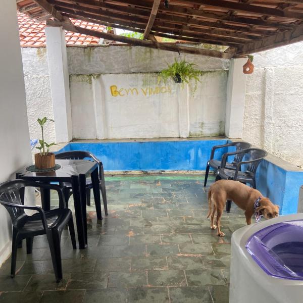 Menino do Rio - Foto 4