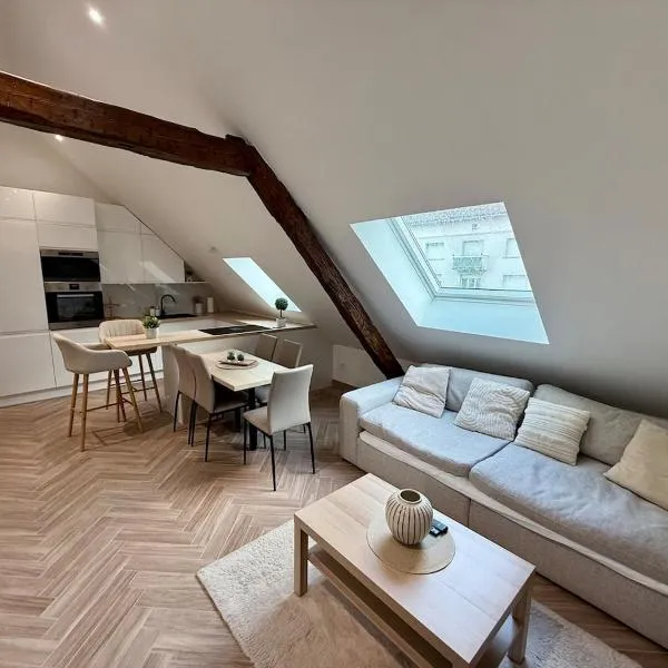 Modern Cocoon Under Roof Parking Close to Tram – hotel w Strasburgu