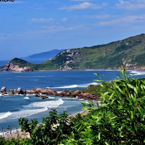 Casa Praia Mole - Foto 5
