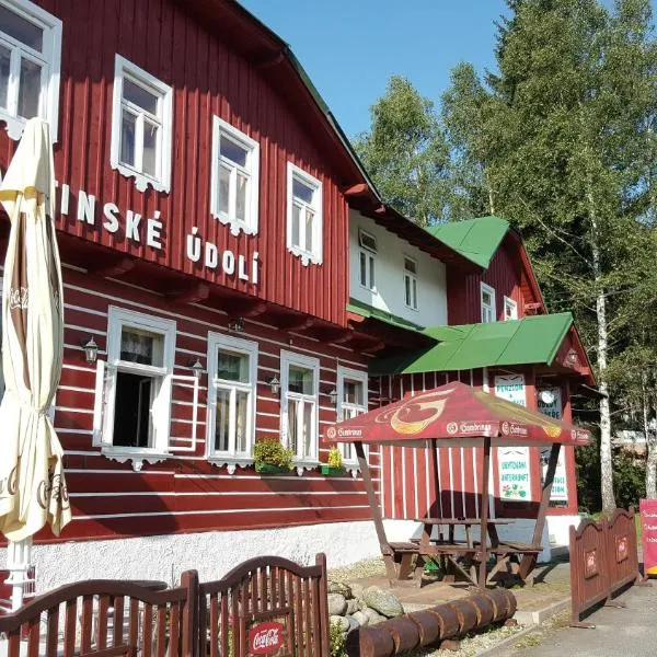 Pension Martinské údolí, Hotel in Kořenov