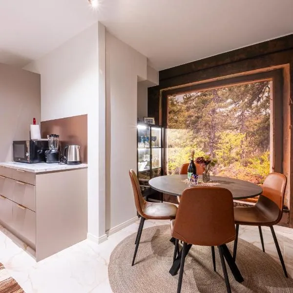 Premium City Center 2 rooms Apartment Glassed Balcony FREE PRIVATE PARKING, hotel em Kemi